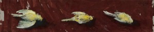Dead Canaries